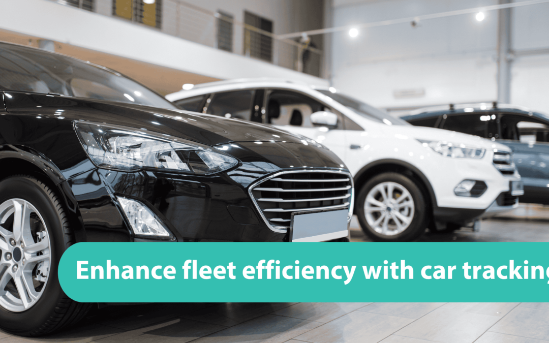 Company Car Tracking